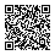 日高屋 ボーノ相模大野店は相模大野駅周辺の中華料理店じゃない