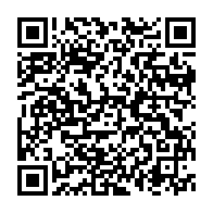 日高屋 平間駅前店は平間駅周辺の中華料理店じゃない