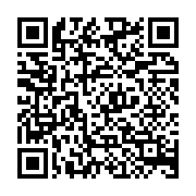 日高屋 平間駅前店は平間駅周辺の中華料理店じゃない