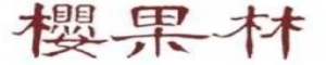 DINOディノ中華料理店瑞祥飯店 西川口店dinoディノ中華